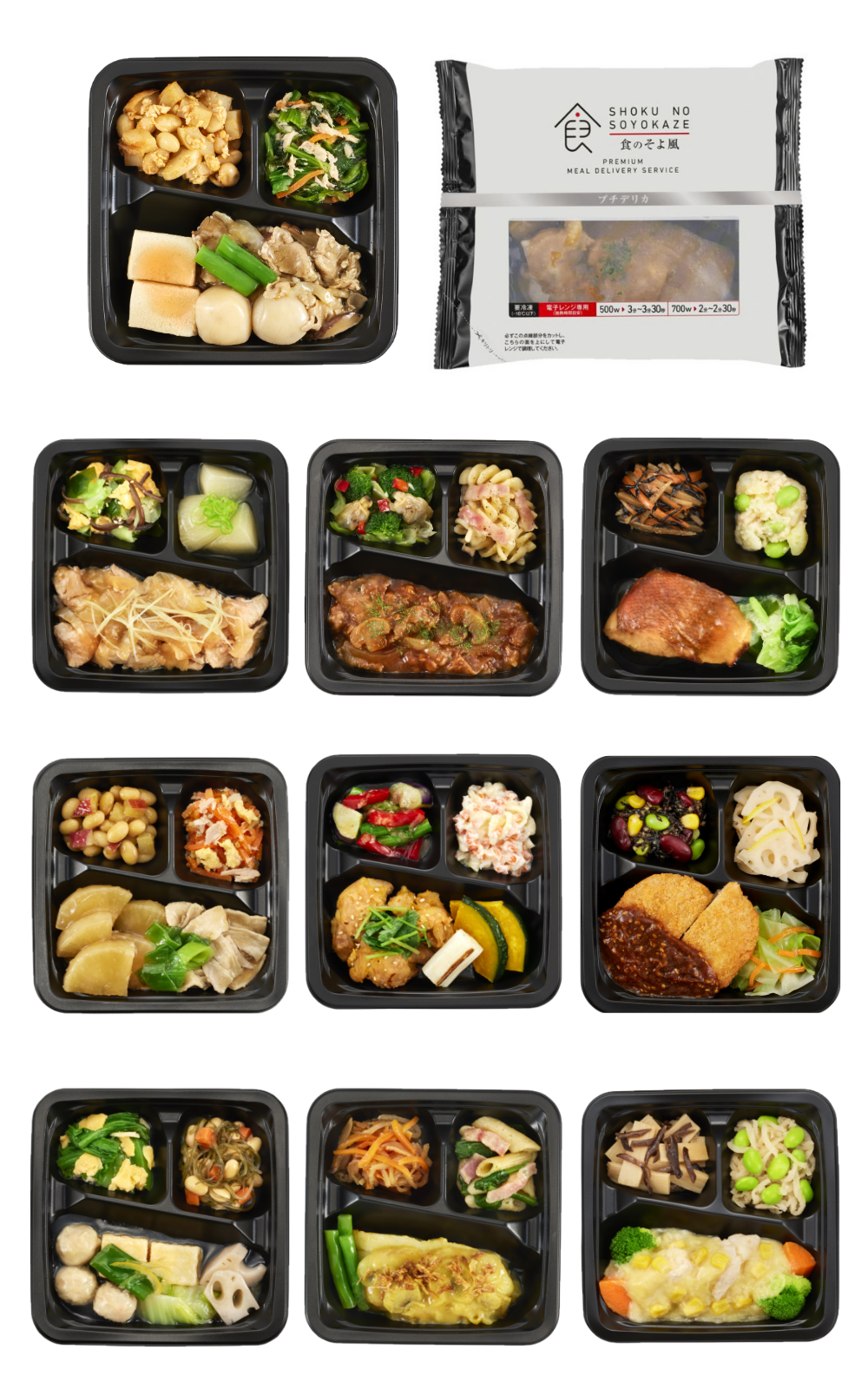 〈冷凍〉ごはん付きプチデリカ10食Cセット