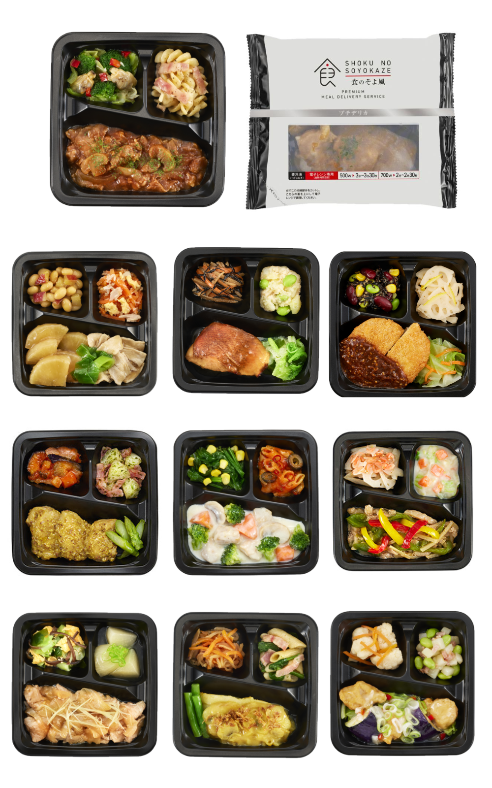 〈冷凍〉ごはん付きプチデリカ10食Cセット