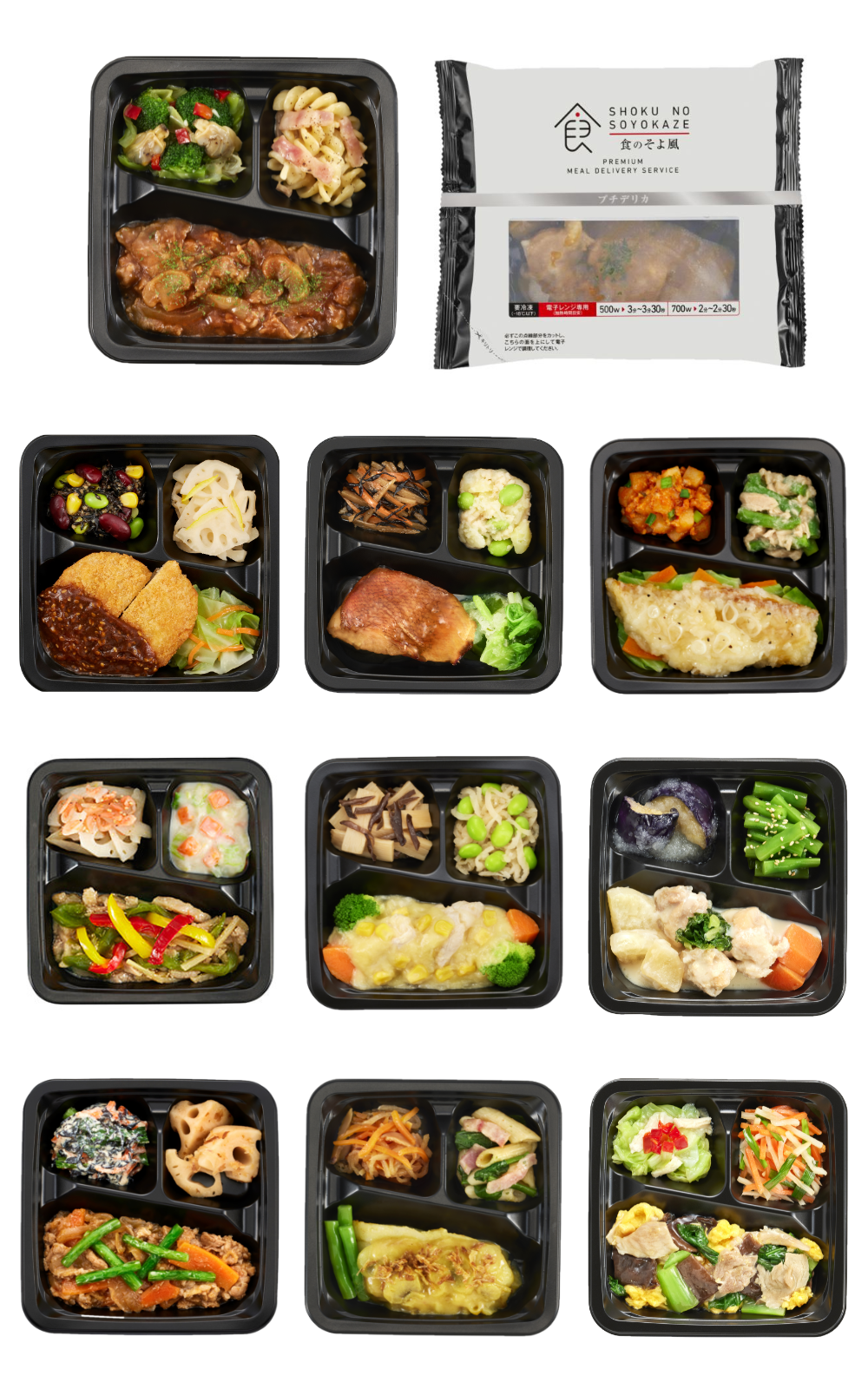 〈冷凍〉ごはん付きプチデリカ10食Cセット