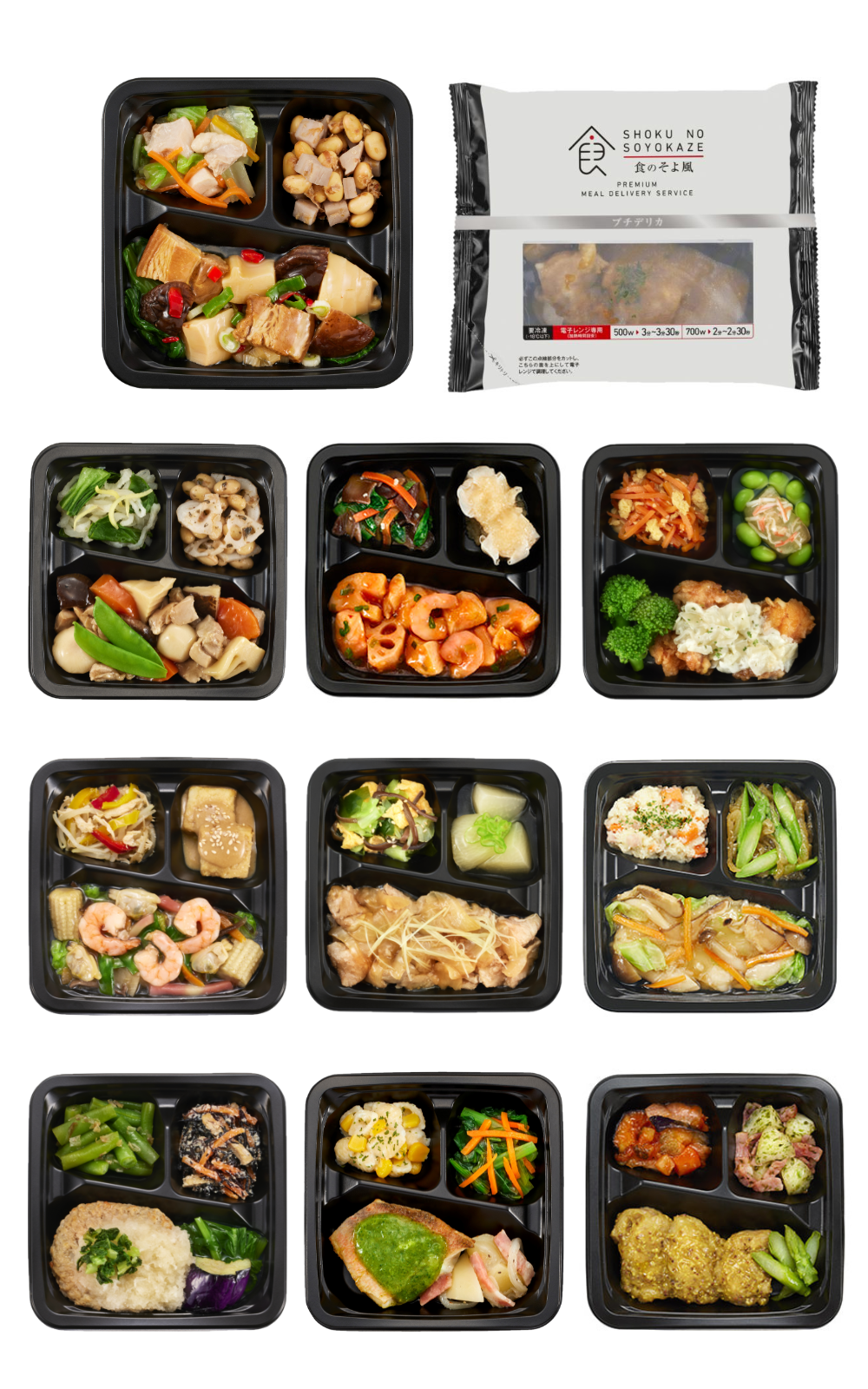 プチデリカ 10食 Aセット