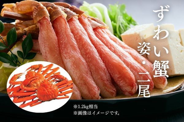 【数量限定】ずわい蟹（姿・二尾1.2kg相当）